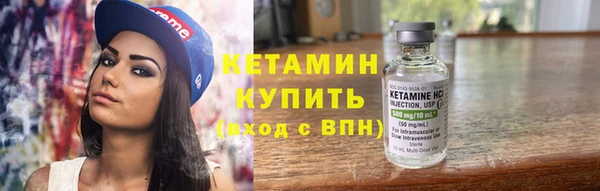индика Медвежьегорск