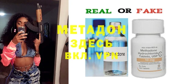 индика Медвежьегорск