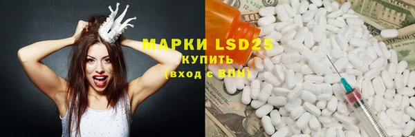 индика Медвежьегорск