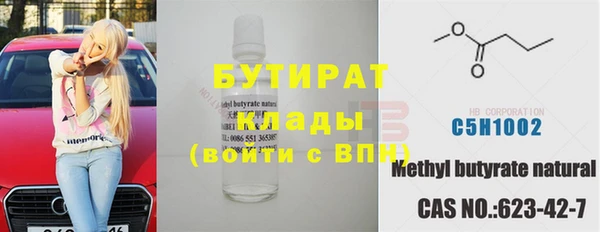 индика Медвежьегорск