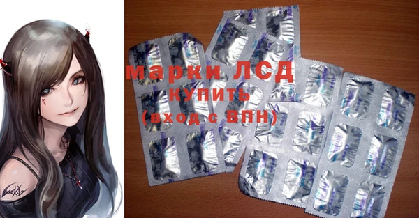 индика Медвежьегорск