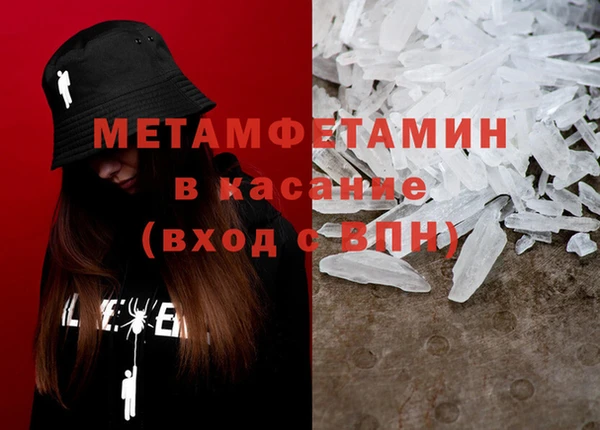 индика Медвежьегорск