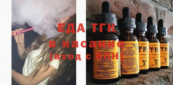 индика Медвежьегорск
