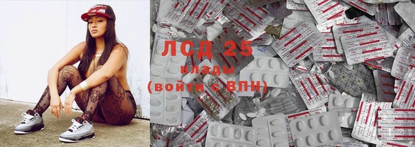 индика Медвежьегорск