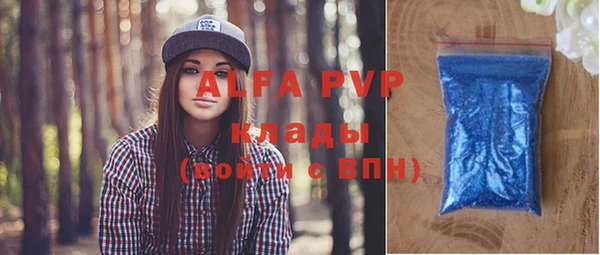 индика Медвежьегорск