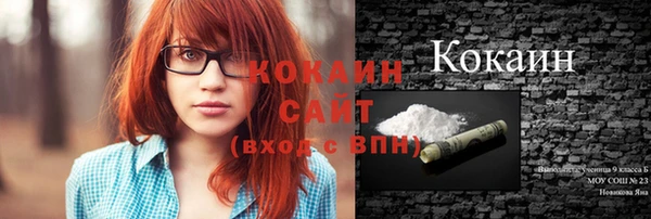 индика Медвежьегорск